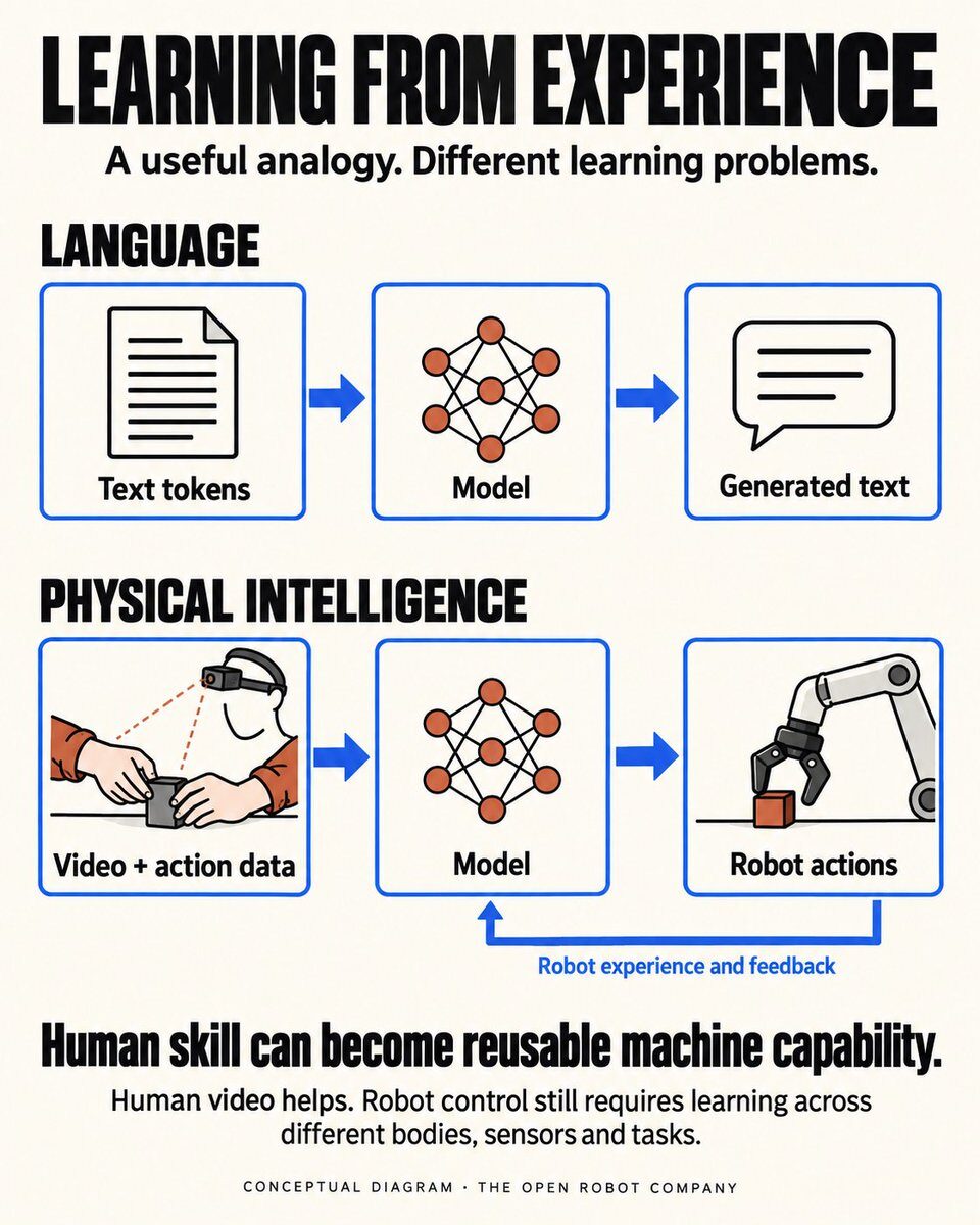 Language models learn from text; physical models learn from video and action data, with robot experience providing feedback.